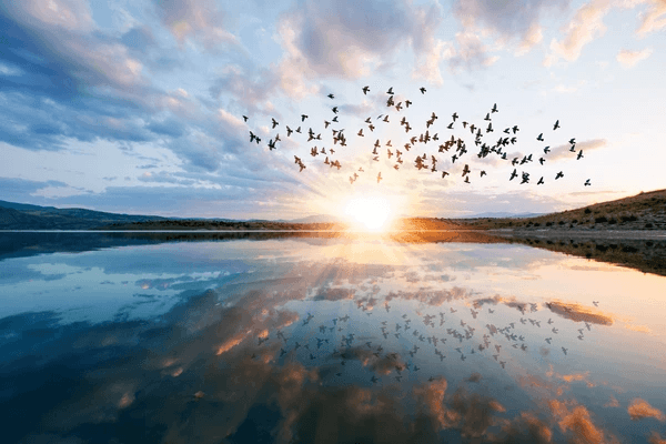 Novost: Lorem ipsum lorem ipsum